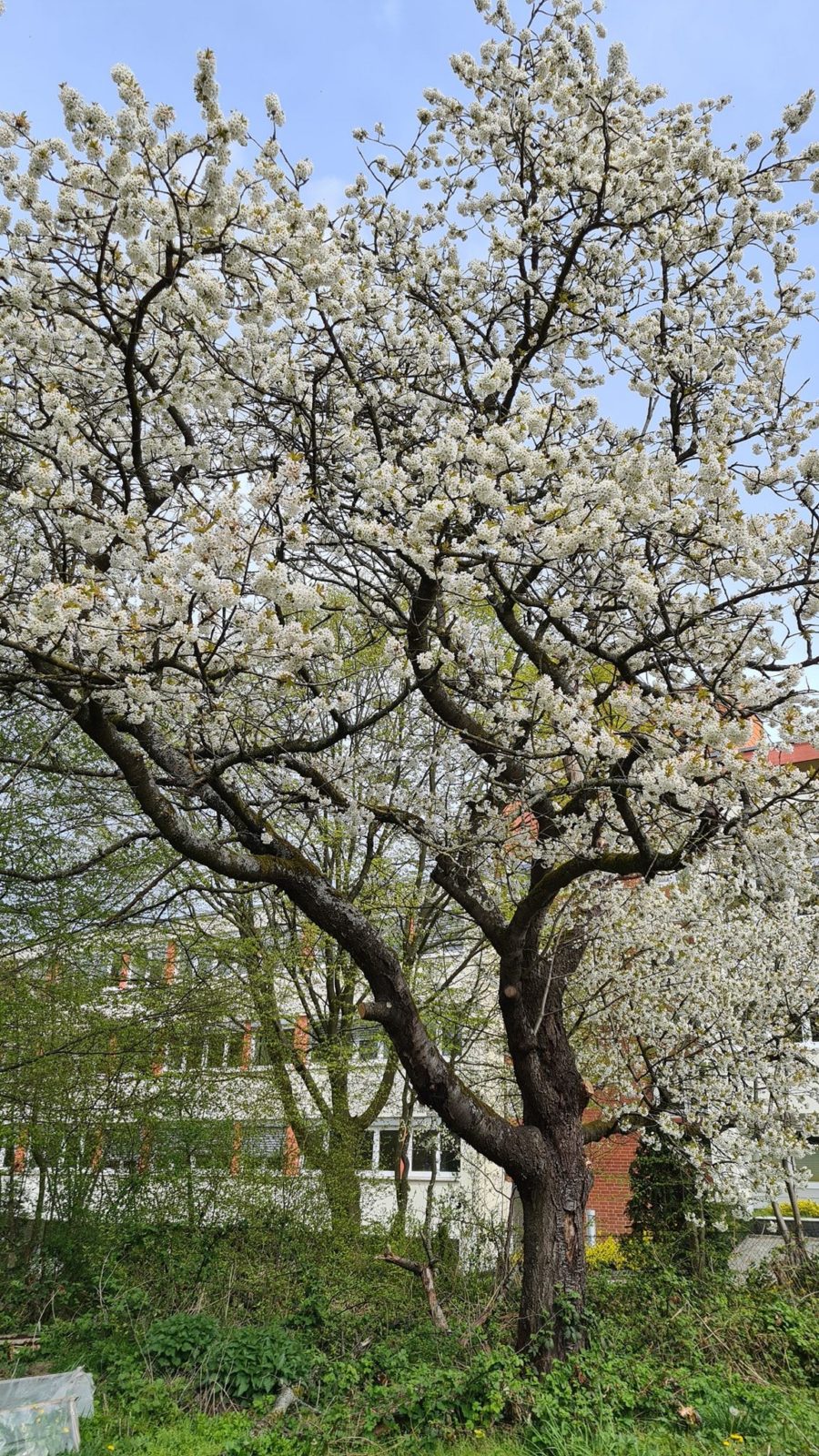 Manuel Gava zu Besuch im Kalkhügel-Garten